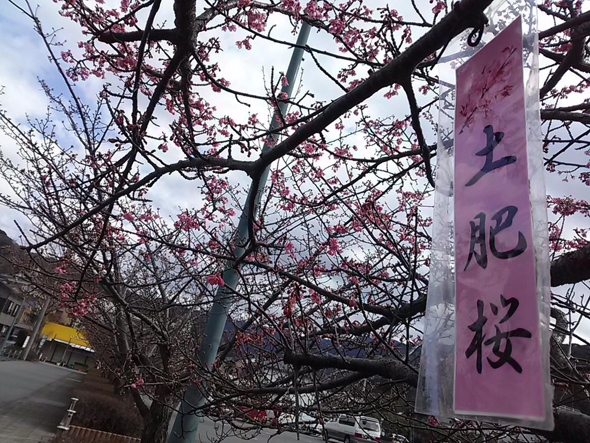 Koibito Misaki Pension Marine Mates Izu  Exteriör bild