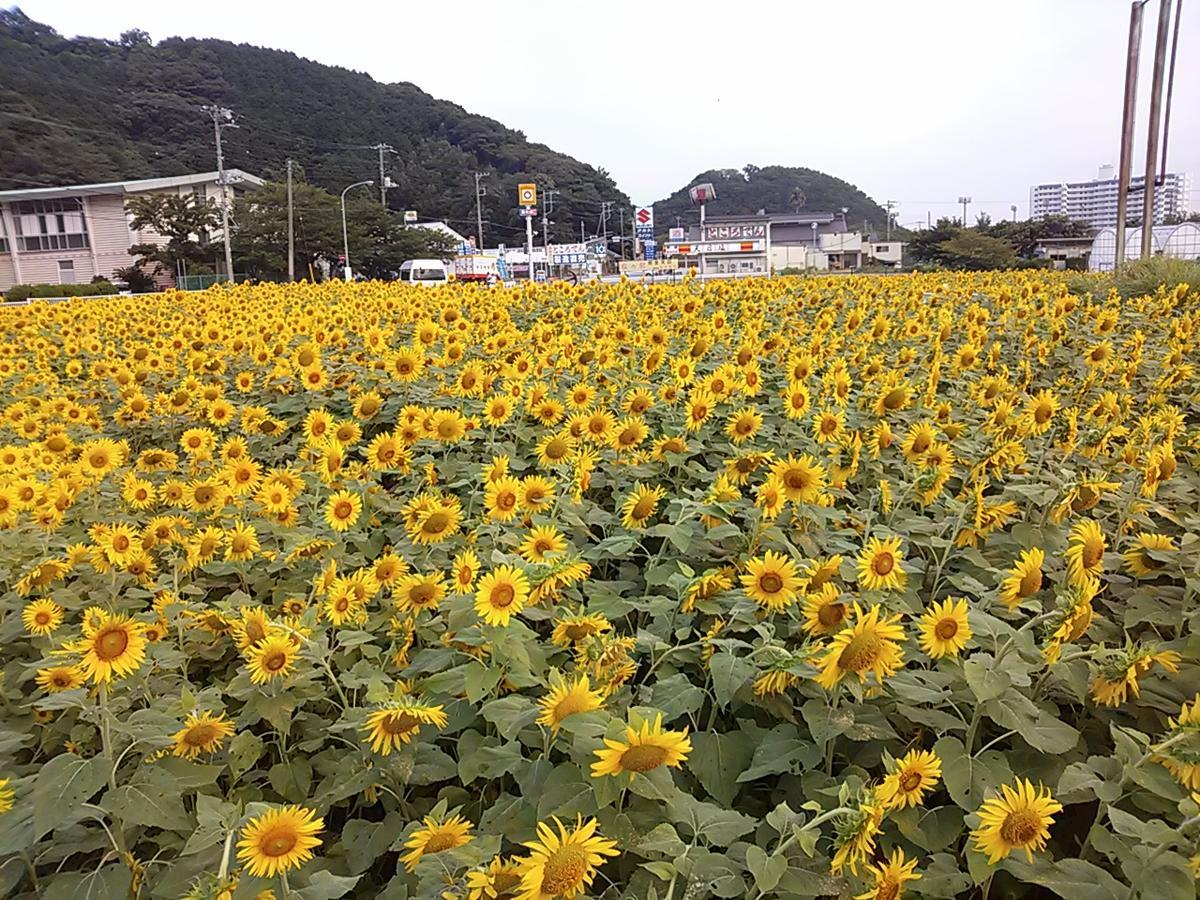 Koibito Misaki Pension Marine Mates Izu  Exteriör bild